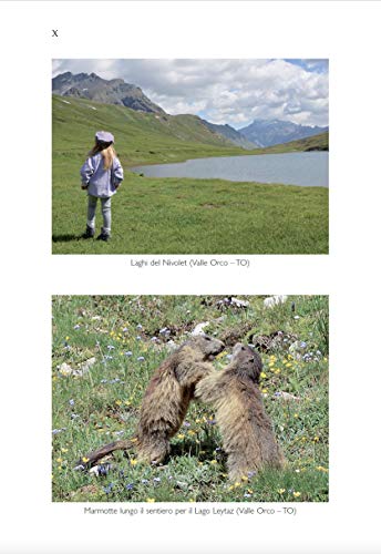 A Piccoli Passi A Fil D'acqua. Laghi Del Piemonte. Itinerari Per Baby Trekker Dal Marsupio Allo Scarponcino - 5