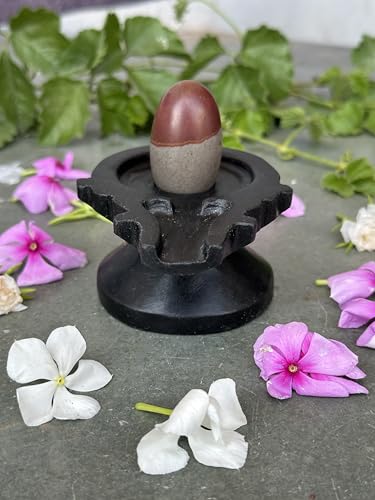 Image of Shivam VASTU AKAL 1.5 inch Original Narmadeshwar Narmada Shivling with 3 inch Narmada Stone Yoni Base Jaladhari (Mahamratunjay Shivling, Black Designer Damru Jaladhari)