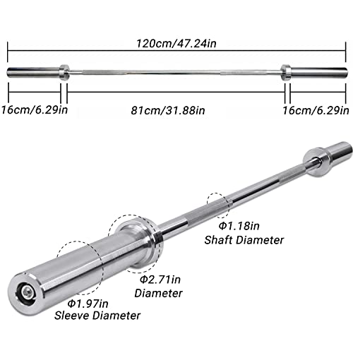 tonchean 4ft Barbell Bar - Heavy Duty Straight Weight Lifting Bar with 2 Spring Collars, 176 LBS Capacity & 360° Rotating Sleeves for 2-Inch Plates | Home Gym Strength Training Equipment