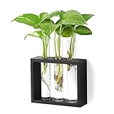 Mkono Wall Hanging Plant Propagation Glass Planter Station 3 Tubes with Wood Stand Flower Vase Desktop Terrarium for Propagating Hydroponic Cutting Plants, Home Office Decoration, Black