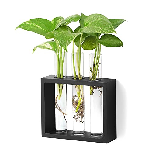 Mkono Wall Hanging Plant Propagation Glass Planter Station 3 Tubes with Wood Stand Flower Vase Desktop Terrarium for Propagating Hydroponic Cutting Plants, Home Office Decoration, Black