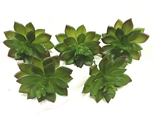 Zereff - Wholesale 120pcs Artificial Succulent Plant Echeveria Green Prince Desert Plastic Flower Table Decoration Greenery - (Color: 120pcs)