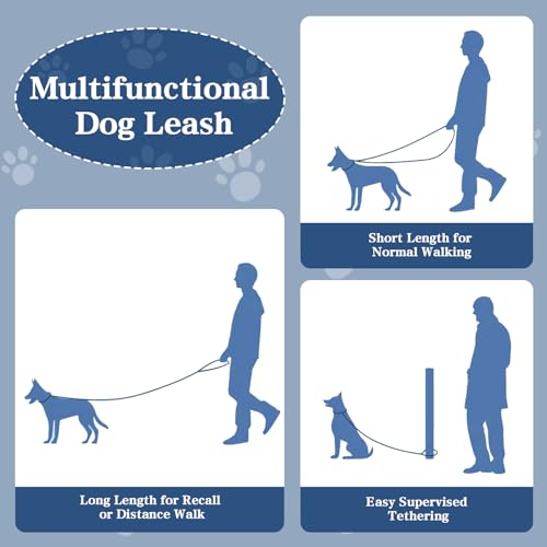 Anti-Zieh Hundeleine, Keine Verwicklung Verstellbar Hundeleine, Dog Reflektierend Leine für mittelgroße zum Spazierengehen, Führleine Hund mit Gepolsterte Handschlaufen (1,2 Meter)