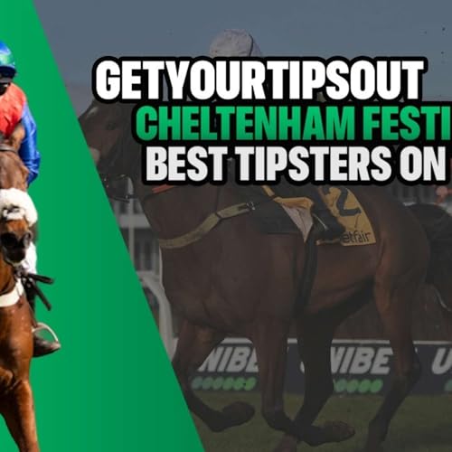 Cheltenham Festival 2026 Betting Tipsters to Follow on Twitter