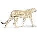 Safari Ltd. Cheetah Toy Figurine - Detailed 8