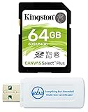 Kingston SD Card Canvas Select Plus 64GB Memory Card for Camera, Digital Camcorder, Trail Camera, Computer - Class 10 UHS-1 SDS2/64GB Bundle with (1) Everything But Stromboli Micro & SDXC Card Reader