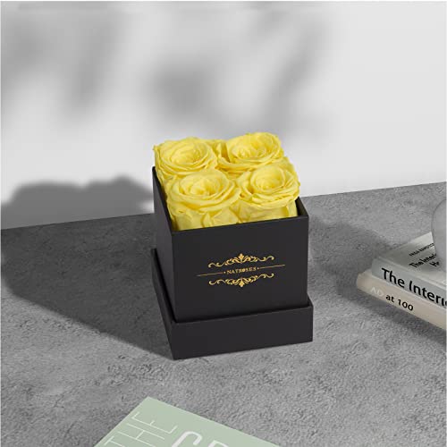 Natroses Yellow Preserved Roses In A Box That Last Up To 3 Years, Long Lasting Roses Gifts For Her,Valentines Day Gifts, (Yellow) #TOP3