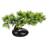 ASAKKURA Lebensechte Künstliche Kiefernbaumdekoration aus Kunststoff als Zarte Dekofigur für Sushi Teller und Japanische Lebensmittelgeschäfte