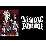 ヴィジュアルプリズン