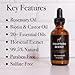 Pete & Pedro Sea SALT Spray 8.5 oz. & BOOST Growth Serum 2 oz. Combo – More Volume More Texture & Healthier Hair | Light Hold Low Shine Fast Absorbing Hydration & Fuels Growth