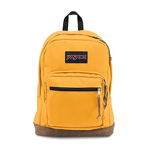 10 Best JanSport Backpacks in 2023 Buyer's Guide Backpack Beasts