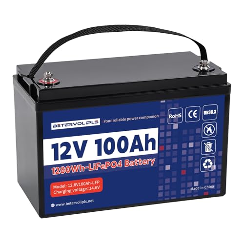 HAYAEnergy 12V 100Ah Lithium Battery Built-in 100A BMS Rechargeable Lithium