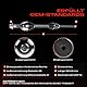 Frankberg Antriebswelle Achswelle Schaltgetriebe Vorderachse Rechts Kompatibel mit Jumper Bus Jumper Kasten Ducato Bus 250 Ducato Kasten 250 Boxer Bus Replace# 1355333080