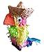 Fetch-It Pets PiÃ±ata Parrot Bird Toy 9