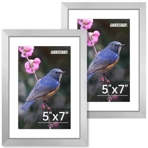 FIXSMITH 5x7 Picture Frame Set of 2, Silver Photo Frame with HD Plexiglass, Display Pictures 4x6 with Mat or 5x7 Without Mat Multi Picture Frames Collage for Tabletop or Wall Display