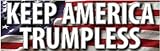 Kramer sticker's shop Keep America TRUMPLESS Anti Trump 2024 Sticker for Car Vinyl Decal Truck Window Bumper Sticker 10 х 3 in.