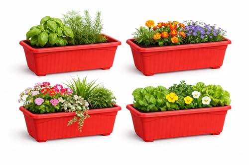 Image of Bianco Rectangular Plastic Pots for Plants, Jupiter Flower Pots for Home, Window Display, Garden (35 x 18.5 x 15 cm) (RED) (Pack of 4)