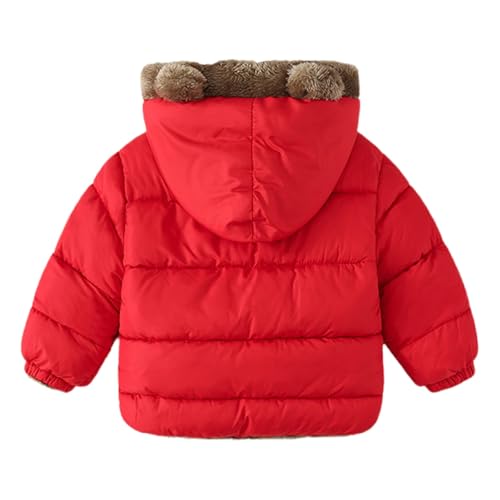 Kids Boys Fleece Lined Puffer Jacket Bear Ears Hooded Zip Up Solid Color Down Coat Toddler Boys Thick Padded Outwear2