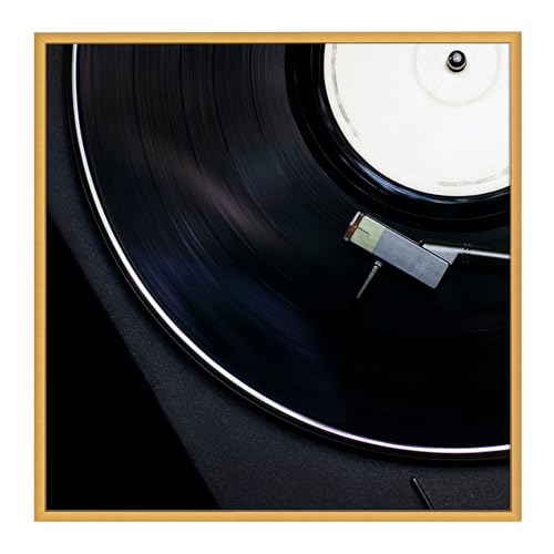 Golden State Art, Aluminum Album Frame Display 12.5×12.5 Vinyl Record, Brushed Metal Finish Records Frames for Wall, Acrylic Glass, for 12 » Album cover (1 Pack Bronze) - Les Beatles, Paul McCartney, John Lennon, RIngo Starr, George Harrison Golden State Art, Aluminum Album Frame Display 12.5x12.5 Vinyl Record, Brushed Metal Finish Records Frames for Wall, Acrylic Glass, for 12'' Album cover (1 Pack Bronze)
