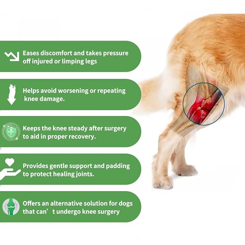Image of Dog Knee Brace Premium & Adjustable for Torn ACL, Arthiritis, Post Surgery Care, Joint Issues, Reduce Pain, Provides Mobility & Supports Dogs Active Lifestyles (Small)