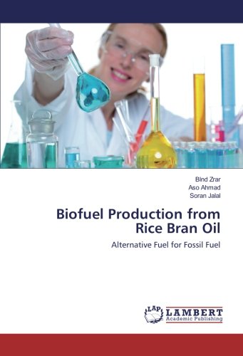 Biofuel Production from Rice Bran Oil: Alternative Fuel for Fossil Fuel