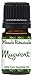 Miracle Botanicals Mugwort Essential Oil - 100% Pure Artemisia Vulgaris - Therapeutic Grade - 5ml