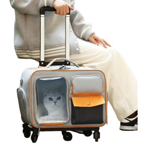 AOUTNybg L[P[X L[obO ybgJ[g ybgL[P[X LX^[t lʋC 萫  ܂肽 ^ELp L[obO }bgt ʉ@ h U sp (O[)