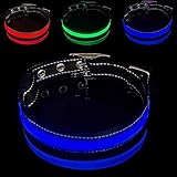 🐕【Dauerhaft & Wasserdichtes Leuchthalsband Hund】Leicht und starkes Nylonband, extrem robust. Das LED Beleuchtung Haustierhalsband ist wasserabweisend und schimmelresistent. Sie müssen sich keine Sorgen machen, an regnerischen Tagen auszugehen.