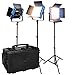 Dracast Kala Plus Series Bicolor LED1000 Kit with Injection Molded Travel Case - 3 Pack Includes Panel Lights, Stands, Barndoors, Diffusion | App Control | Travel Case | App Control | Dimmable 0-100%