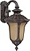 Beaumont Energy Star Arm Down Wall Lantern in Fruitwood