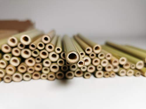 Bambusröhrchen Wildbienenhotel Insektenhotel Bastelsachen (70 Stück) 12cm mit Lehmpulver – Bild 5