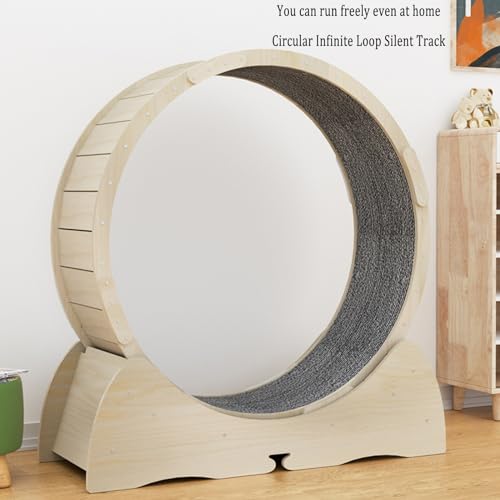 Roda De Corrida Para Gatos, Exercitador De Rodas Para Gatos Internos, Esteira Para Exercícios De Gat