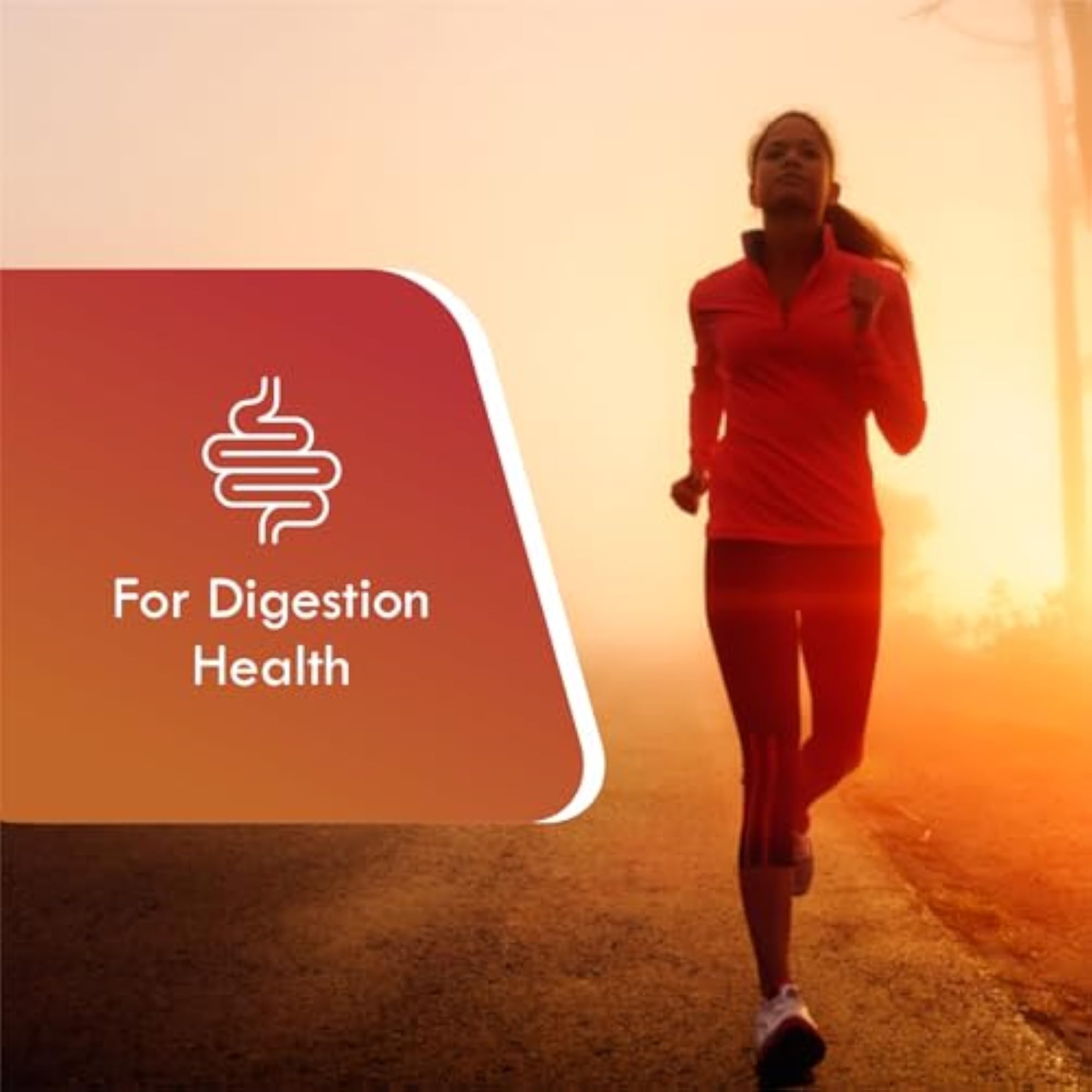 Organic Triphala Powder for Digestive Support, 1 Kg