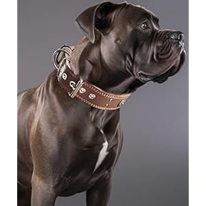 Leather-Dog-Collar-2-inches-Wide-Heavy-Duty-Genuine-Leather-Collars-Handmade-Soft-and-Luxury-Eye-catching-Best-Choice-for-Large-and-Medium-Breed-Dogs-225-265-inches - Cucciolini Doodles Leather-Dog-Collar-2-inches-Wide-Heavy-Duty-Genuine-Leather-Collars-Handmade-Soft-and-Luxury-Eye-catching-Best-Choice-for-Large-and-Medium-Breed-Dogs-225-265-inches