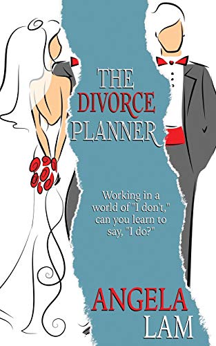 The Divorce Planner view 2