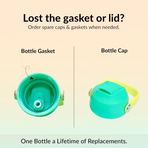 Image of Rabitat Insulated Water Bottle Stainless Steel Kids 410ml | 20 Hours Hot & Cold | School Bottle for Boys & Girls | Leakproof, BPA Free, Food Grade SS304 | 2 Year Warranty | Spunky