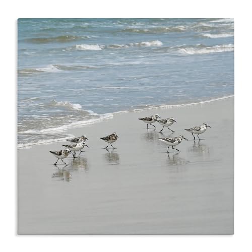 Sandpipers Flock Coastal, 17 x 17 Inch Canvas Wall Art