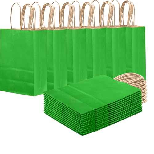 qiqee Bamboo Green Gift Bag with Handles Bulk 24Pcs Paper Bags -8.3x6x3. 15 Party Favor Bags - Solid Color