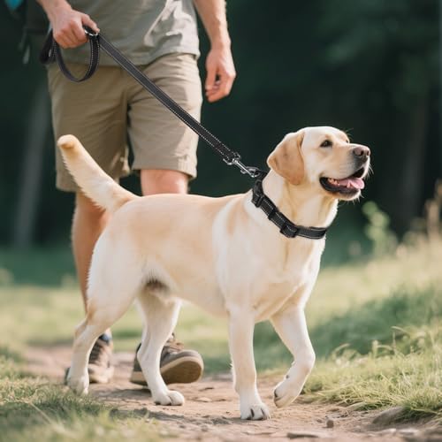 Image of Joytale Reflective Dog Collar, Adjustable Neoprene Padded, Black L | Breathable Nylon for Large Dogs, No Chafing on Walks and Outdoor Hikes, Tear-Resistant Webbing, Metal D-Ring, Night Safety