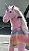 MEDALLION - My Pony Ride On Real Walking Horse for Children 5 to 12 Years Old or Up to 110 Pounds (Color Medium Pink Rainbow) for Girls