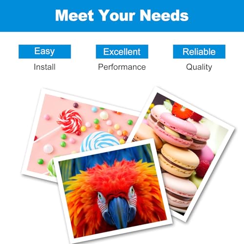 JoyPrinting T2950 Wartungsbox kompatibel für Epson C13T295000 Maintenance Box Schwarz für Workforce WF-100 WF-110 WF‑110W PX-S05B PX-S05W PX-S06B