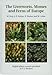 Produktbild The Liverworts, Mosses and Ferns of Europe