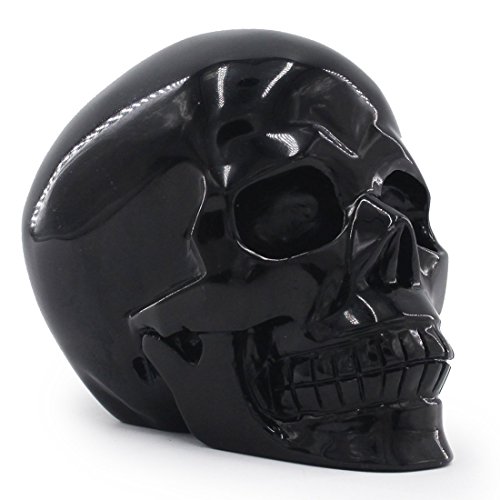 Tianmai 2.48 lb Natural Obsidian Carved Realistic Crystal Skull Sculpture, Healing Energy Reiki Gemstone Collectible Figurine