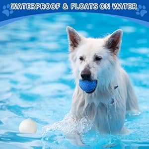 25-Inch-Dog-Balls-Dog-Tennis-Ball-Toys-for-Aggressive-Chewers-Durable-Chew-Toy-Water-Toy-Outdoor-Interactive-Training-Ball-for-Large-Medium-and-Small-Dogs-2-Balls-1-Blue-1-White - Cucciolini Doodles   25-Inch-Dog-Balls-Dog-Tennis-Ball-Toys-for-Aggressive-Chewers-Durable-Chew-Toy-Water-Toy-Outdoor-Interactive-Training-Ball-for-Large-Medium-and-Small-Dogs-2-Balls-1-Blue-1-White