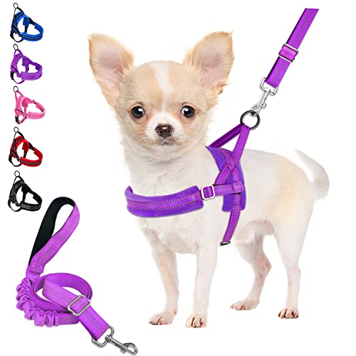Eyein No Pull Small Dog Harness & Lead, Heavy Duty Easy for Walk Vest Harness Soft Padded Reflective Adjustable Puppy Harness Anti-Twist Pet Lead Quick Fit for Small Dog Cat Animal (XS, Purple)