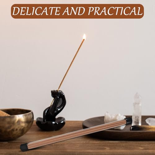 DIYEAH 6 Stück Transparente Kunststoff Röhrchen mit Deckel 230mm Lange Runde Aufbewahrungsrohre für Tragbare Proben und Räucherstäbchen