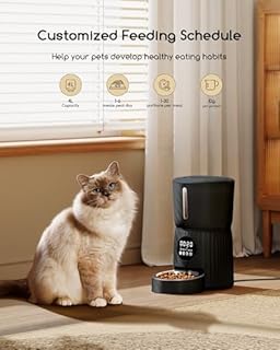 Faroro Distributore Automatico Cibo Gatti, 4L Dispenser Crocchette Gatto con 1-6 Pasti Al Giorno, Porzioni Regolabili, Voce 10s, Alimentazione Lenta (Nero)