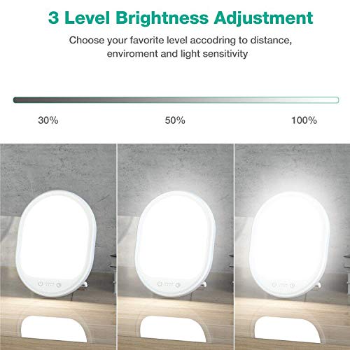 Erligpowht Light Therapy Lamp, Uv-Free 10000 Lux Therapy Light, Touch Control Sun Lamp With 3 Adjustable Brightness Levels And 4 Timer Function, Large Light Surface For Home/Office Use #TOP1