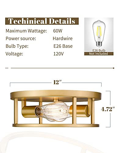Hanass Gold Flush Mount Light Fixture, 12 Inch Modern Ceiling Light In Metal Gold Finish, 2-Light Flush Mount Ceiling Light For Living Room Kitchen Dining Room Bedrooms Foyer Hallways, Mx99992 #TOP5