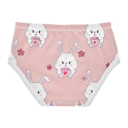 Cute Bunnies Easter Toddler Girls's Underwear 2T 202c12752
